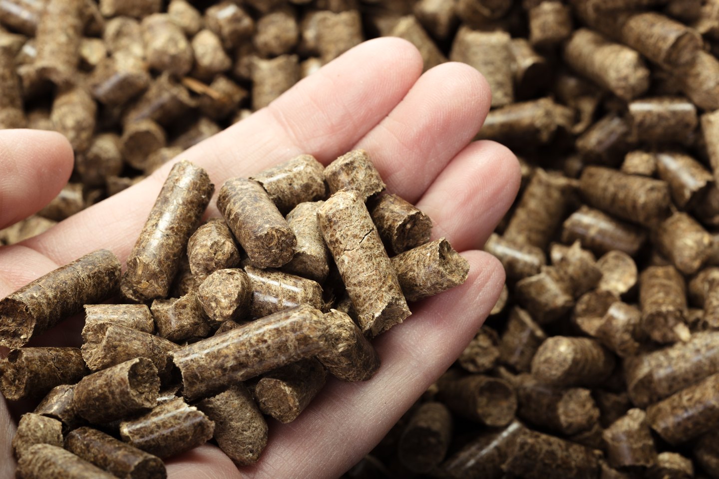 Holzpellets in einer Hand